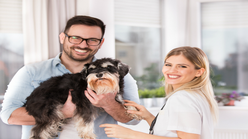 3 Reasons Why Using the Same Vet Clinic Makes Sense