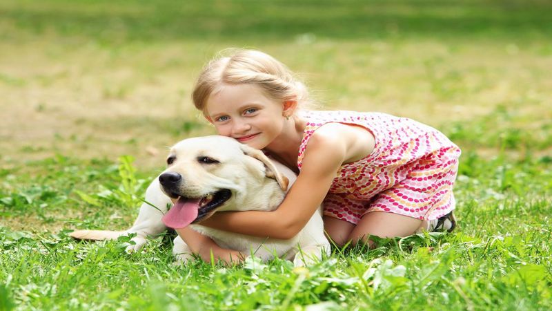 Tips to Find the Best Doggy Day Care in Omaha NE